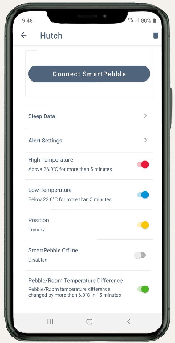 Mist Green Starter Pack
